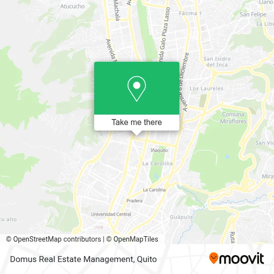 Domus Real Estate Management map