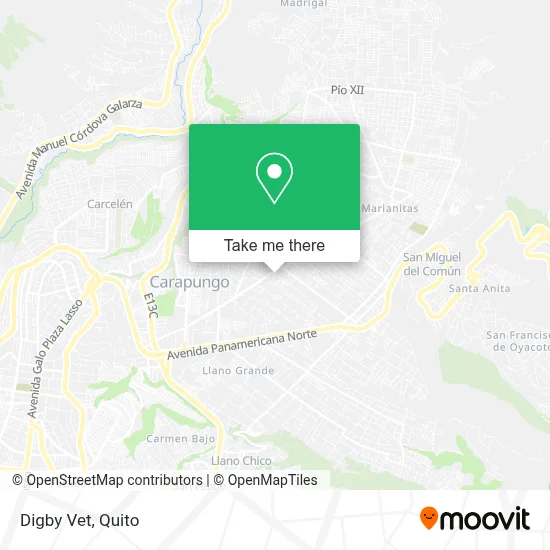 Digby Vet map