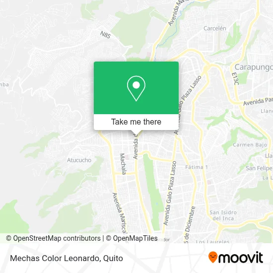 Mechas Color Leonardo map