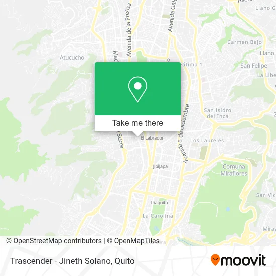 Trascender - Jineth Solano map