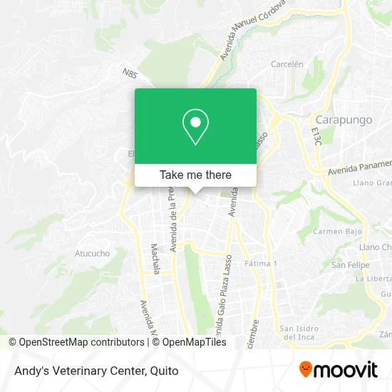 Andy's Veterinary Center map