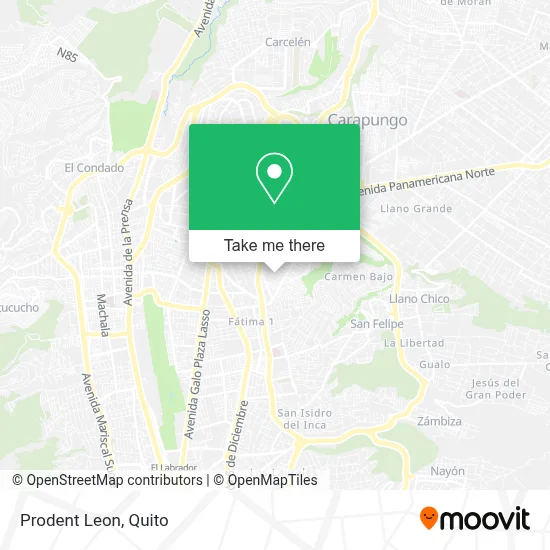 Prodent Leon map