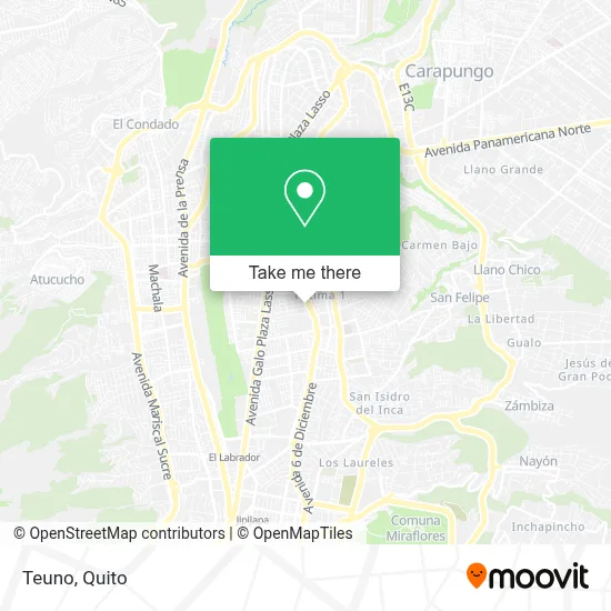 Teuno map