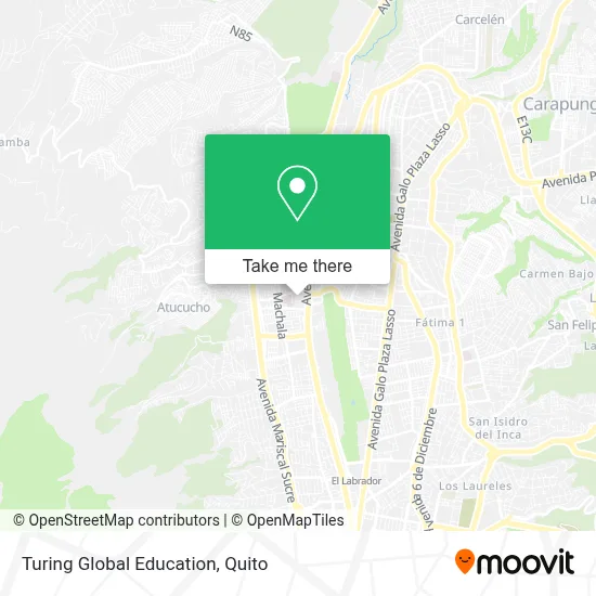 Turing Global Education map
