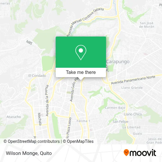 Wilson Monge map