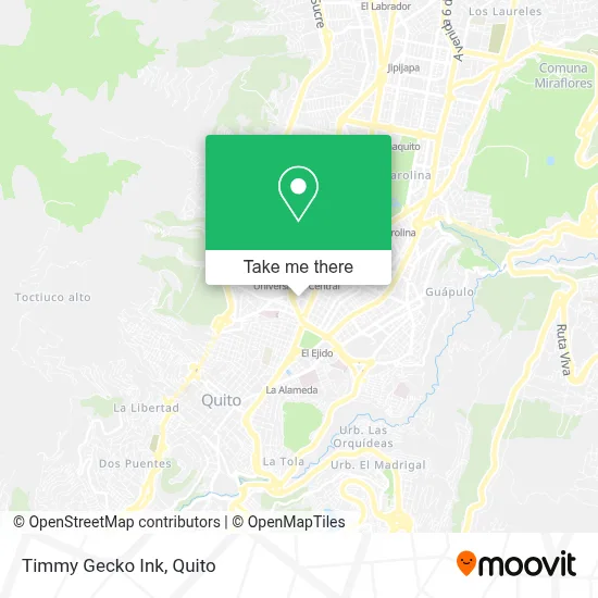 Timmy Gecko Ink map
