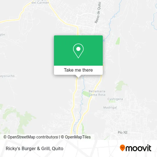 Ricky's Burger & Grill map