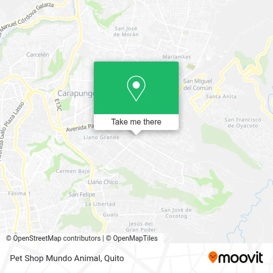 Pet Shop Mundo Animal map