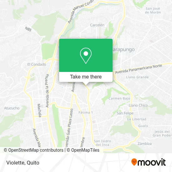Violette map