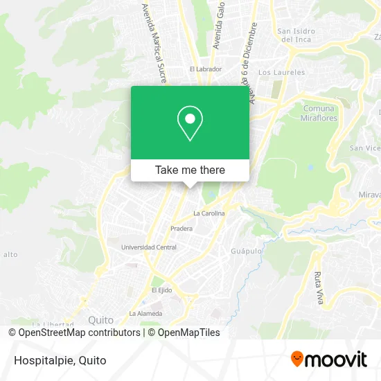 Hospitalpie map