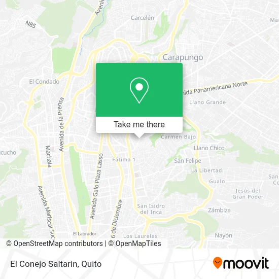 El Conejo Saltarin map