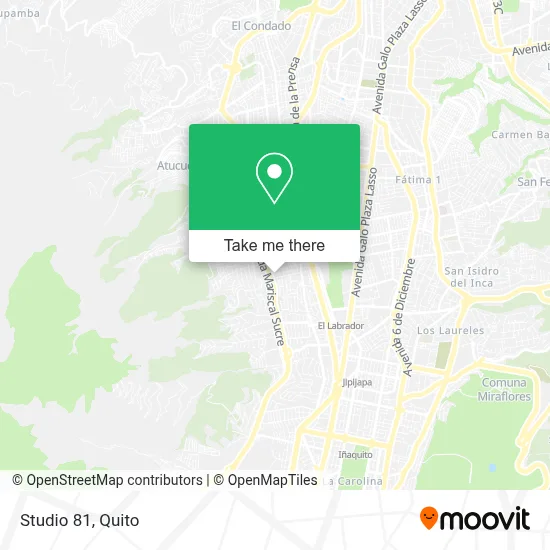 Studio 81 map