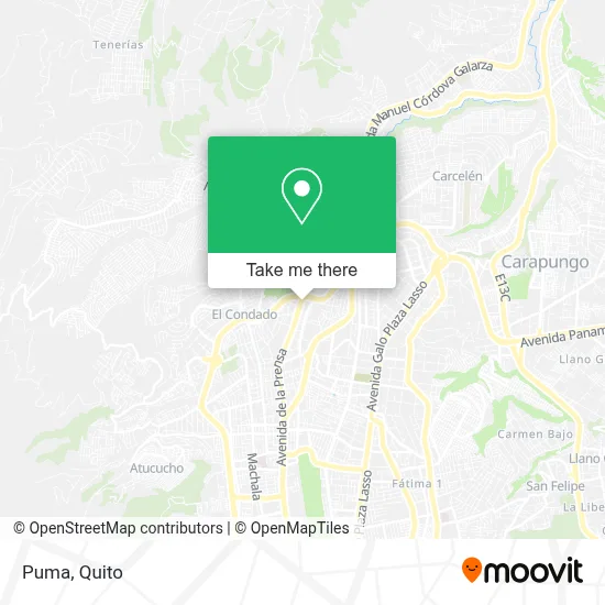 Puma map