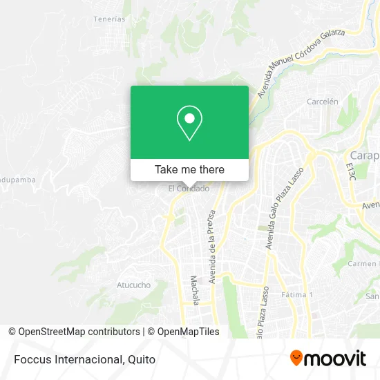 Foccus Internacional map