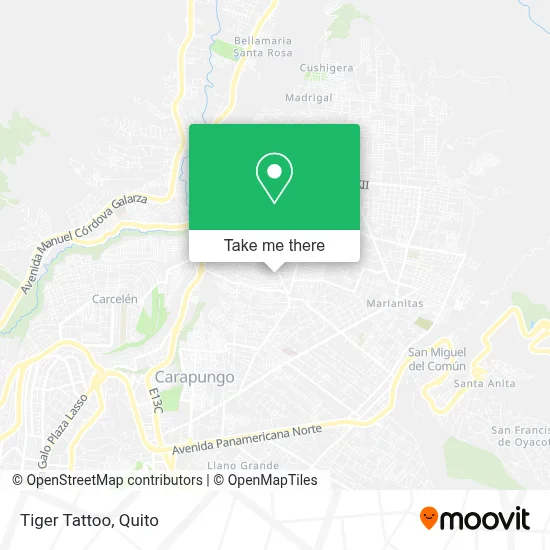 Tiger Tattoo map