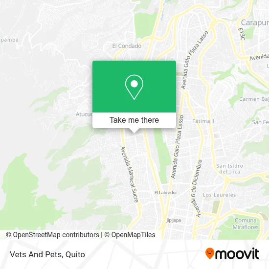Vets And Pets map