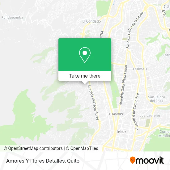 Amores Y Flores Detalles map