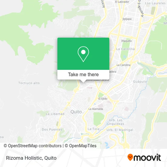 Rizoma Holistic map