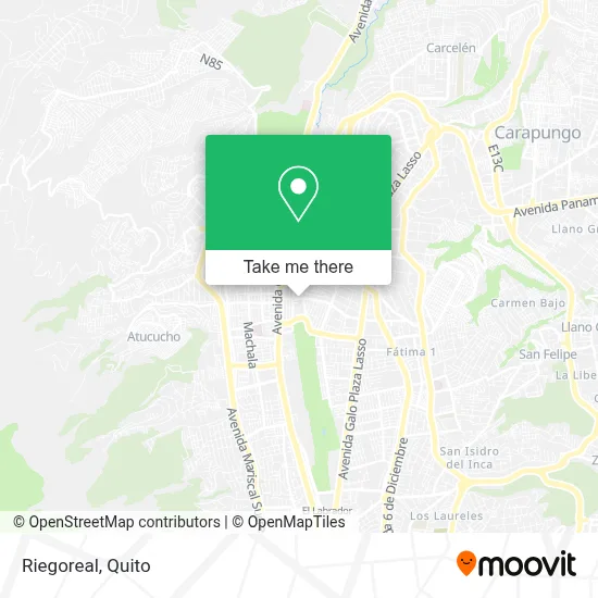 Riegoreal map