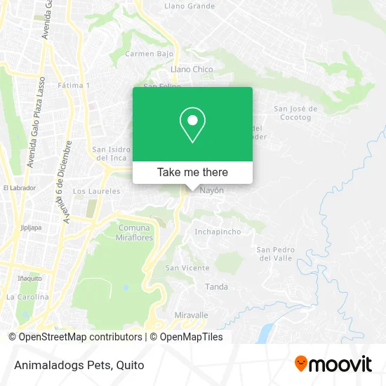 Animaladogs Pets map