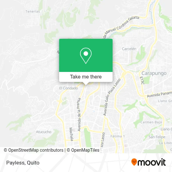 Payless map