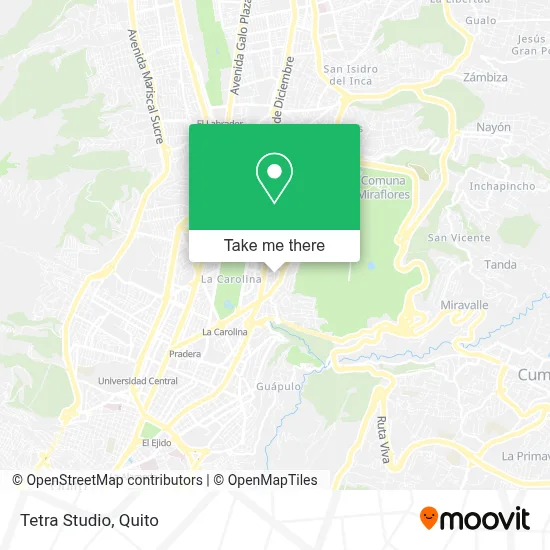 Tetra Studio map