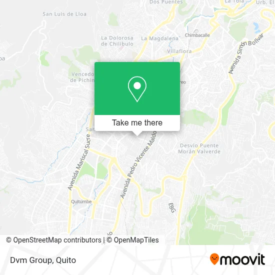 Dvm Group map