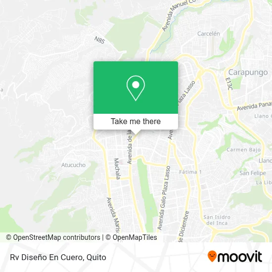 Rv Diseño En Cuero map