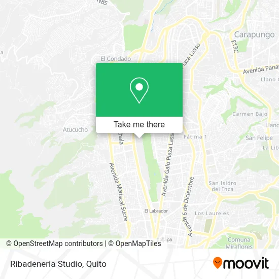 Ribadeneria Studio map