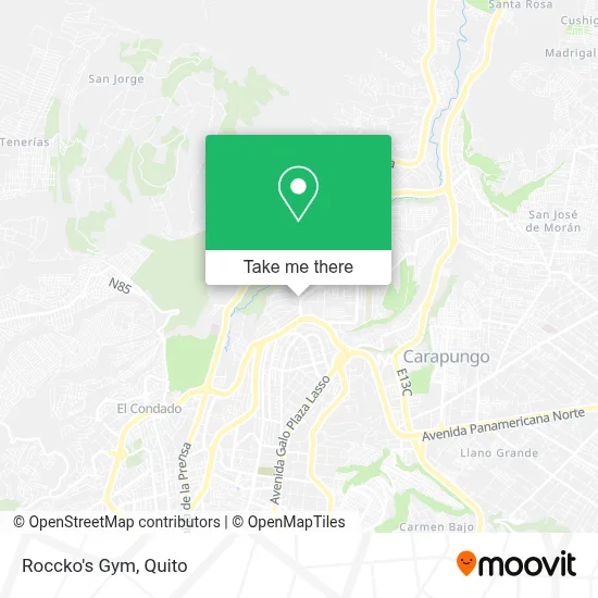 Roccko's Gym map
