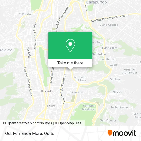 Od. Fernanda Mora map