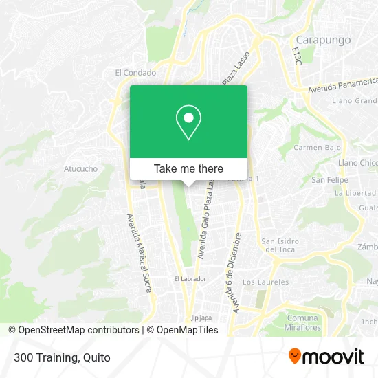 300 Training map