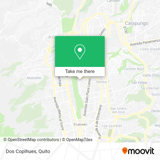 Dos Copihues map