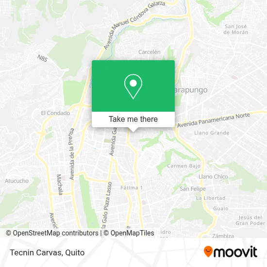 Tecnin Carvas map