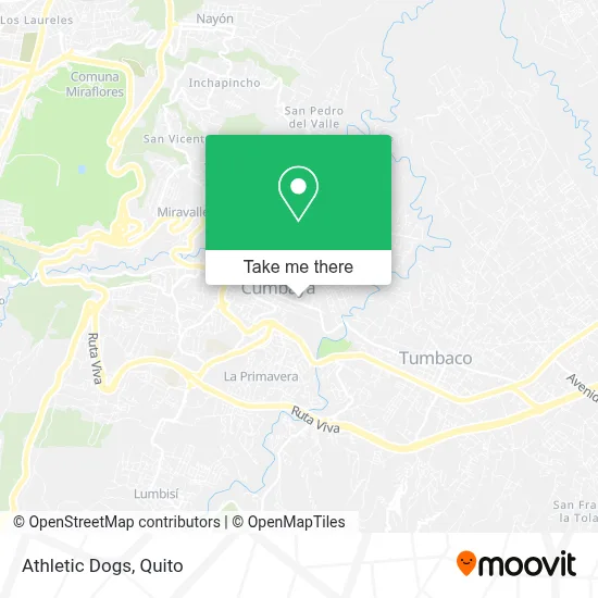 Athletic Dogs map