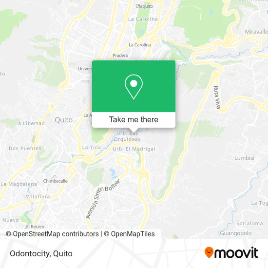 Odontocity map