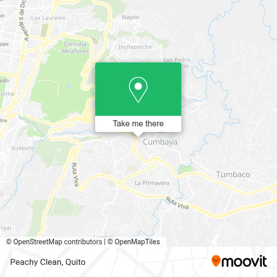 Peachy Clean map