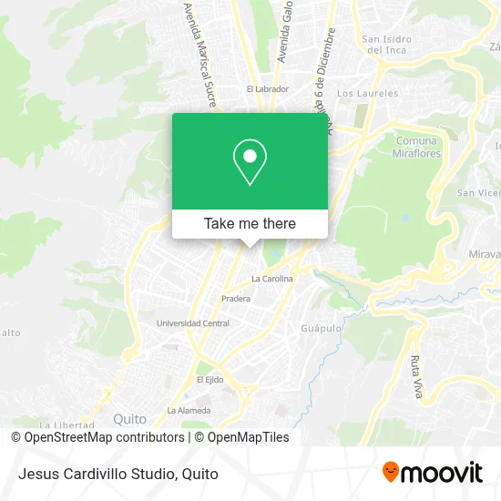 Jesus Cardivillo Studio map
