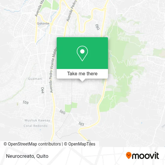 Neurocreato map