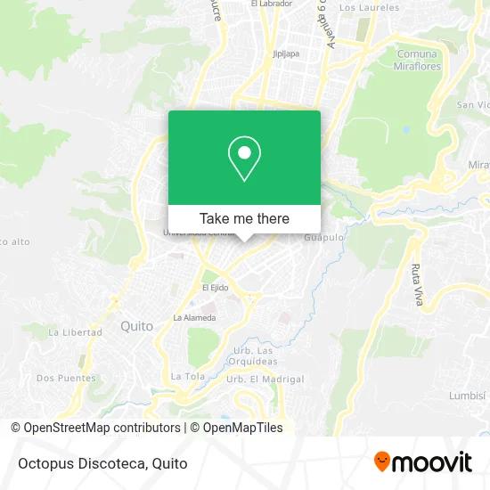 Octopus Discoteca map