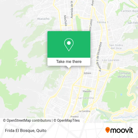 Frida El Bosque map