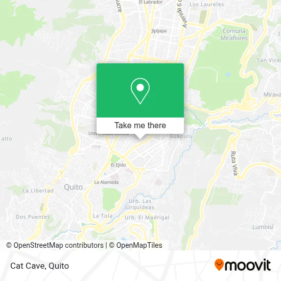 Cat Cave map