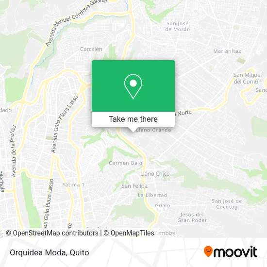 Orquidea Moda map