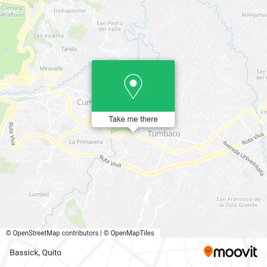Bassick map