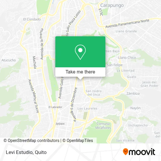 Levi Estudio map
