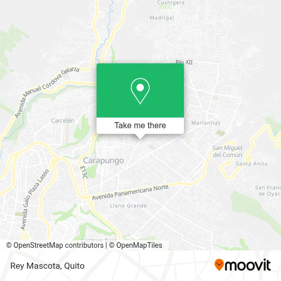 Rey Mascota map