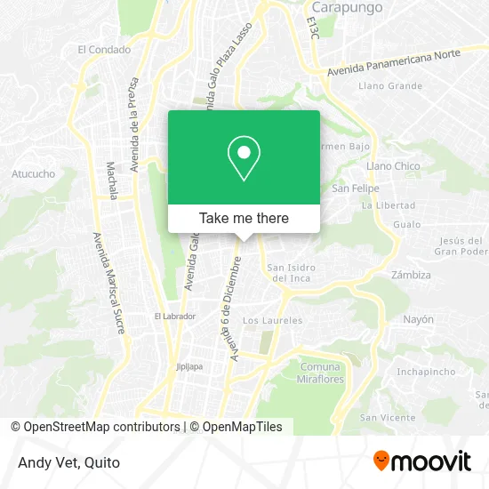 Andy Vet map