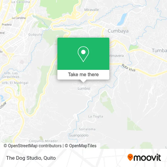 The Dog Studio map