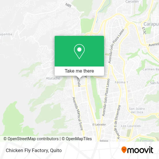 Chicken Fly Factory map