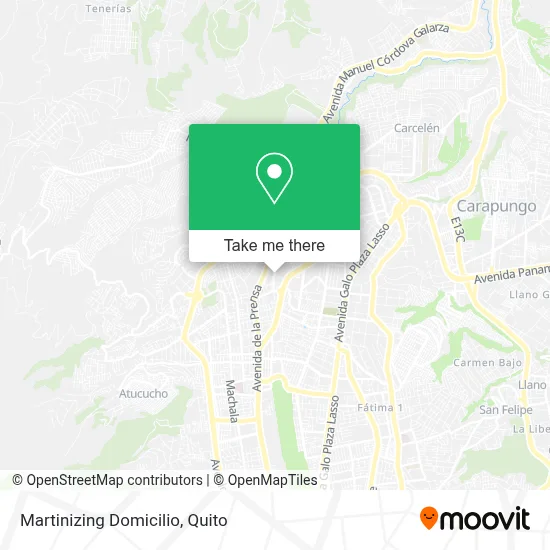 Martinizing Domicilio map